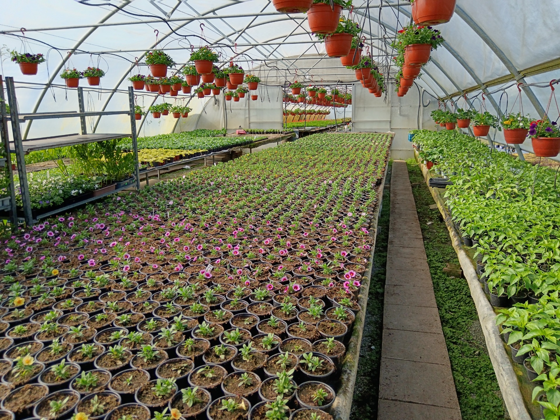 Zahradnictví Lomič