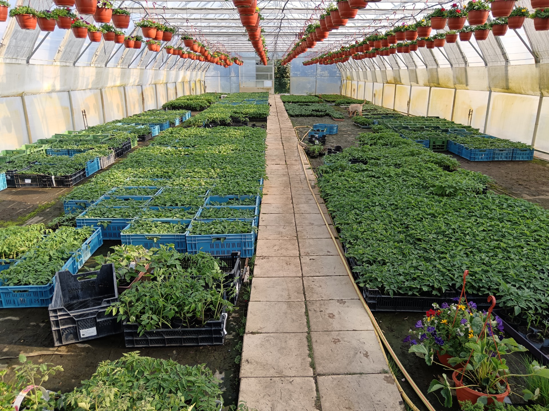 Centrum Přelouč Lomič